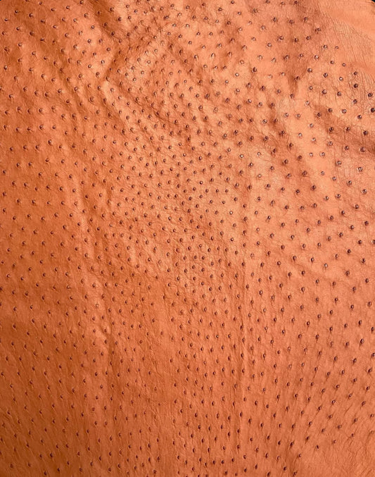Ostrich skin