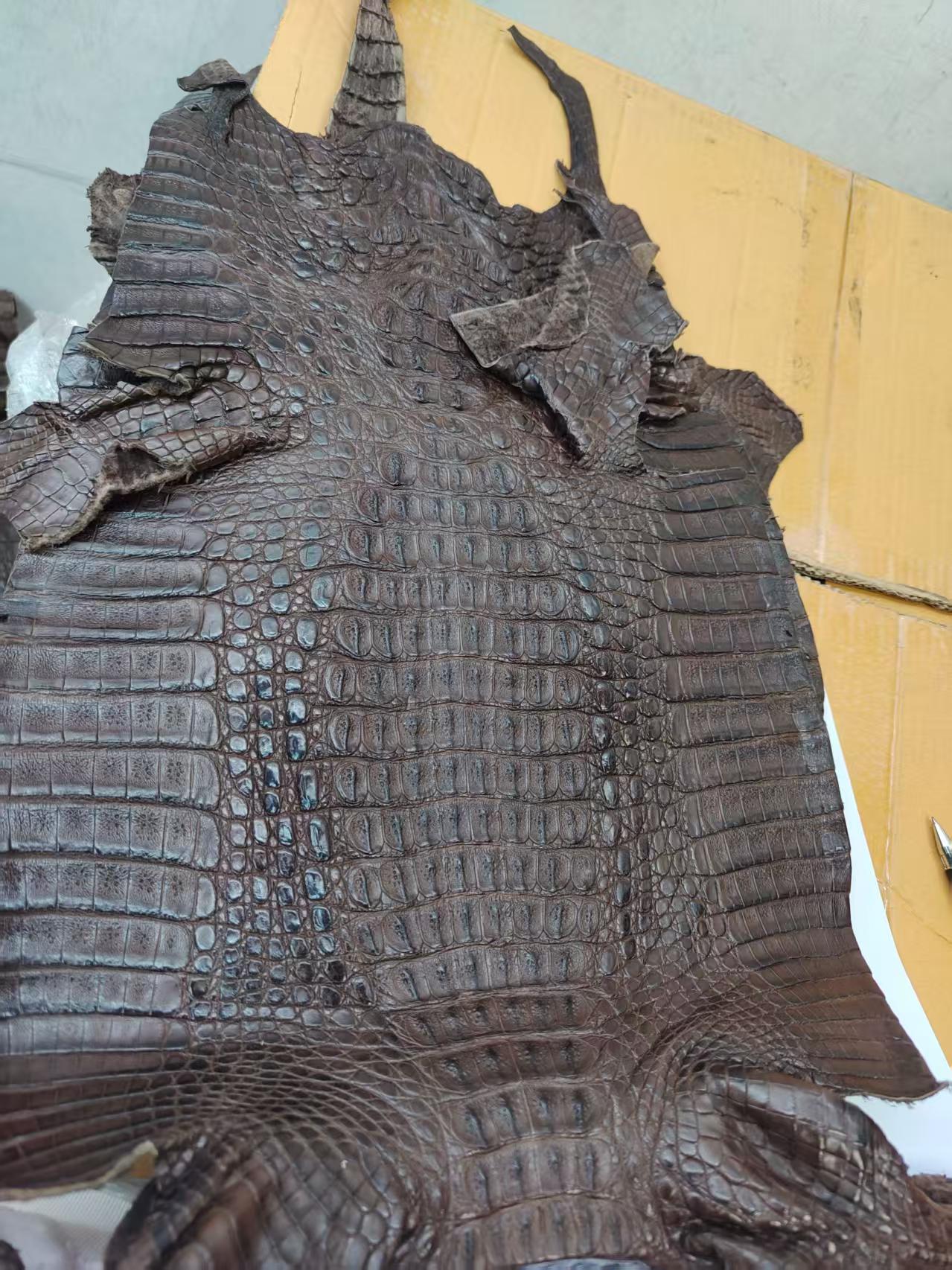 Black Crocodile Mule