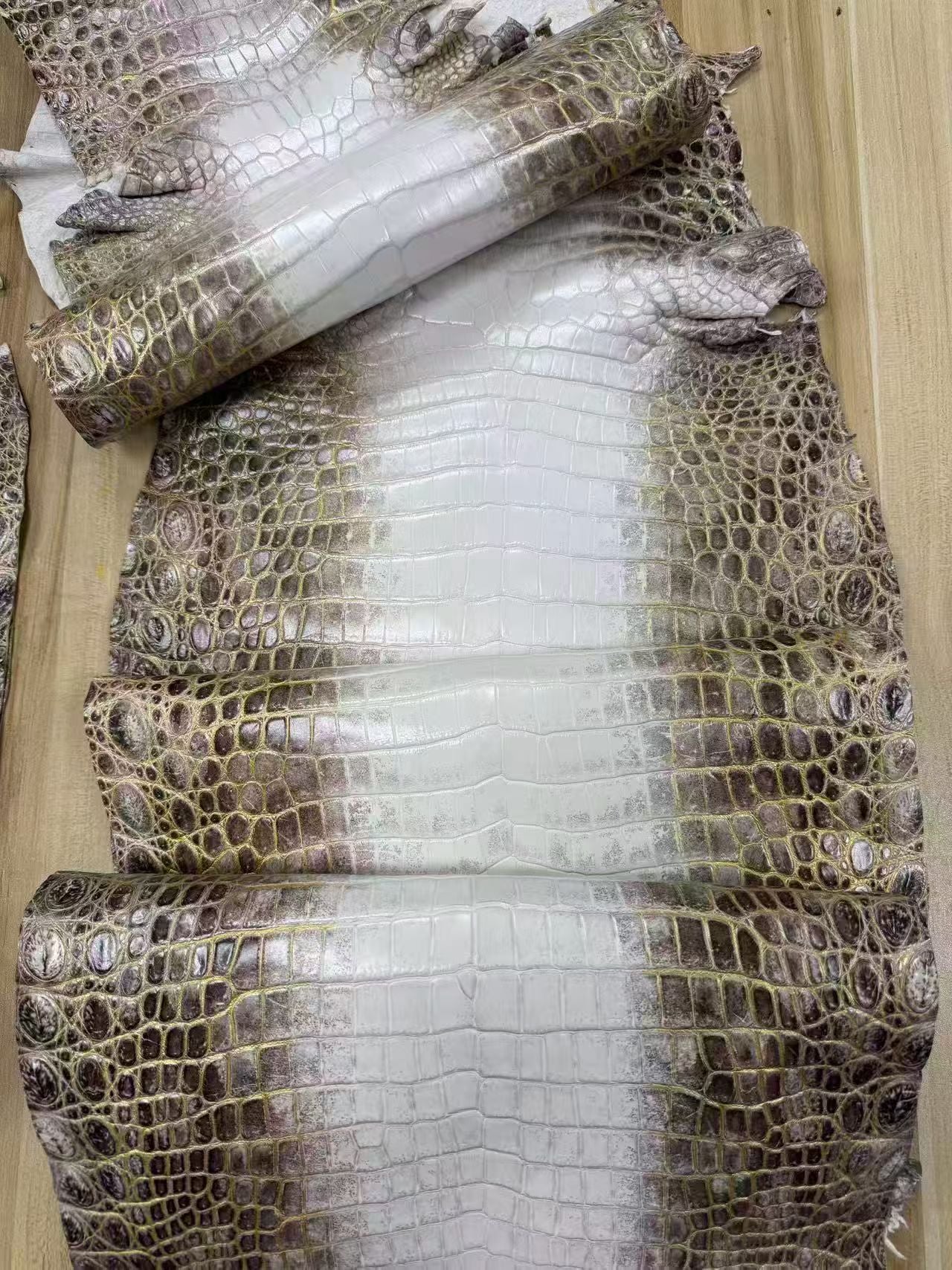 Himalayan crocodile mules