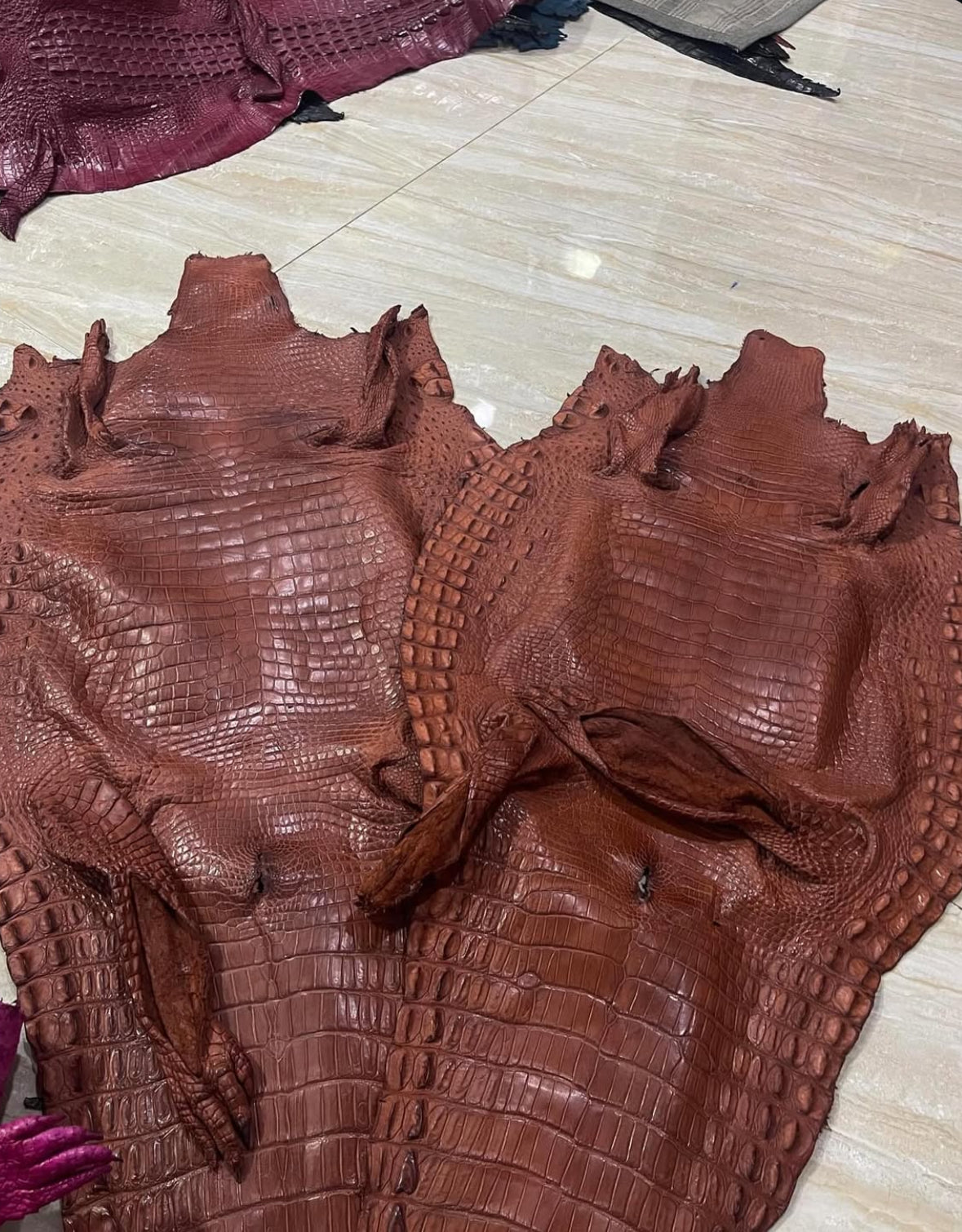 Crocodile skins