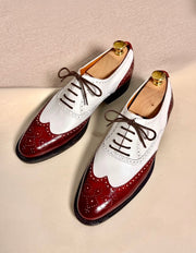 Burgundy spectator wingtip oxford