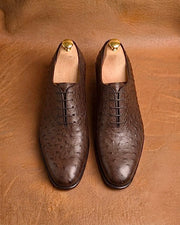 Close-up of full quill ostrich leather follicles on a dark brown oxford