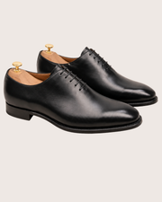Black whole-cut oxford