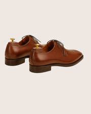 Brown medallion derby