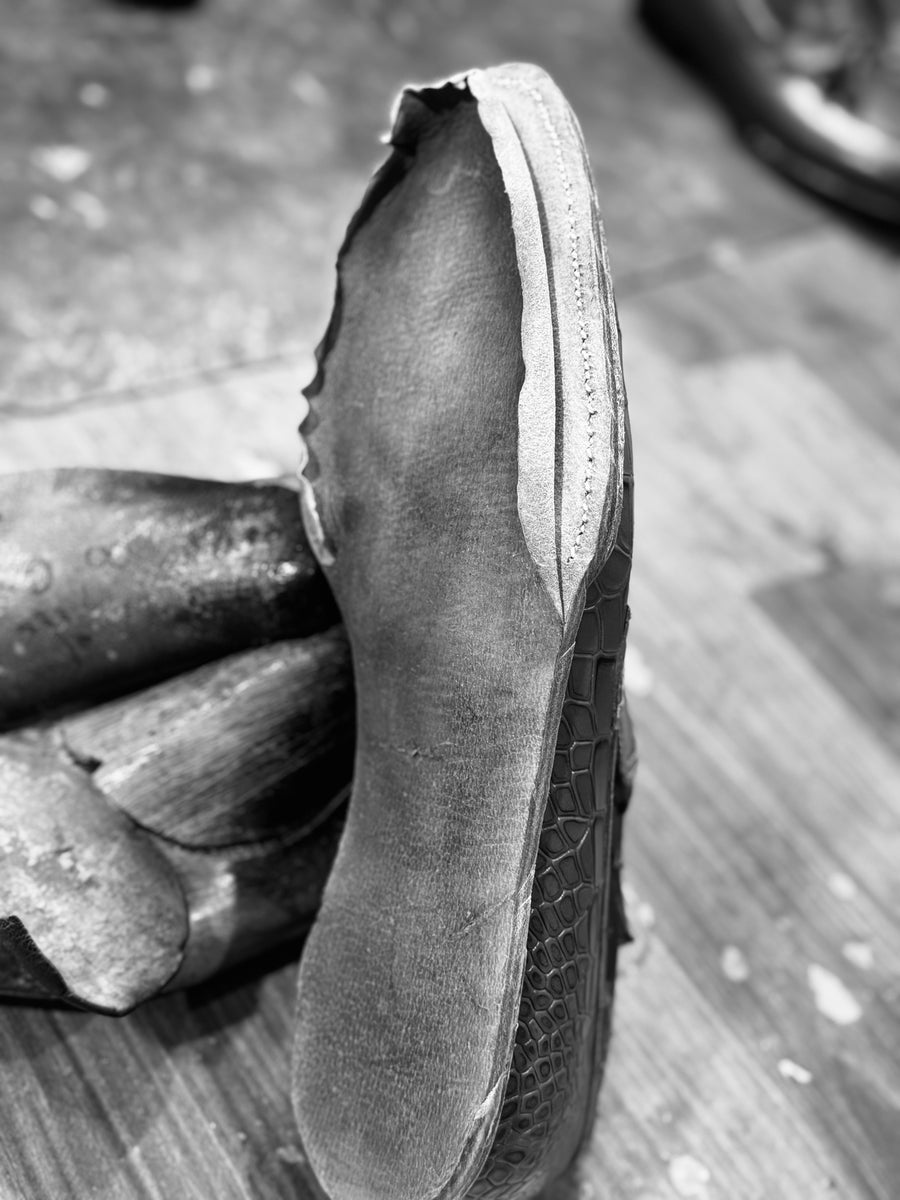 Whimsical Walk ShoeMaker