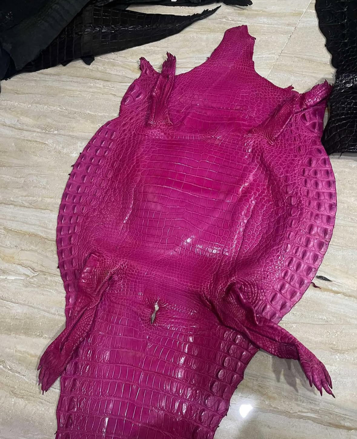 Crocodile skins