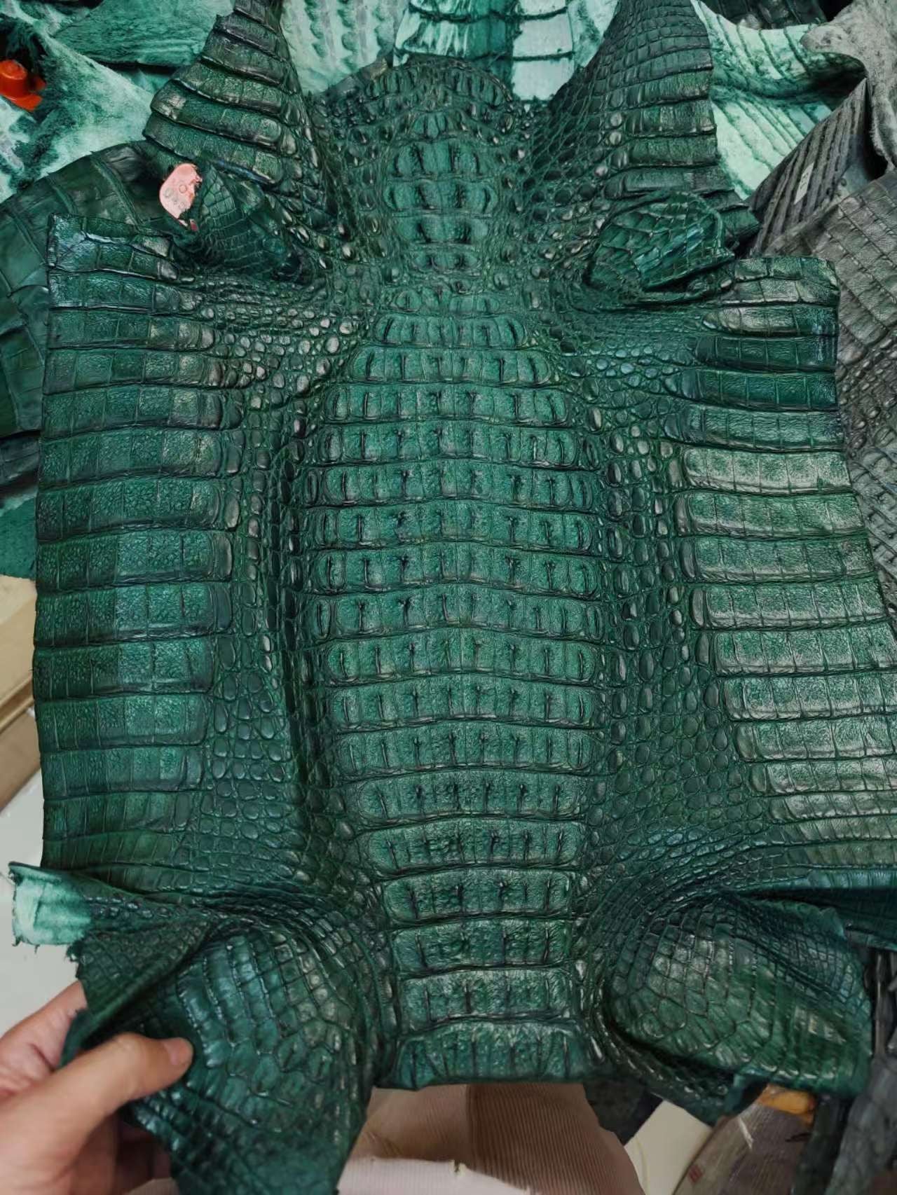 Black Crocodile Mule