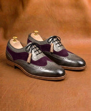 Gray and purple oxford