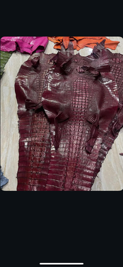 Crocodile skins
