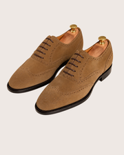 Camel Suede wingtip oxford