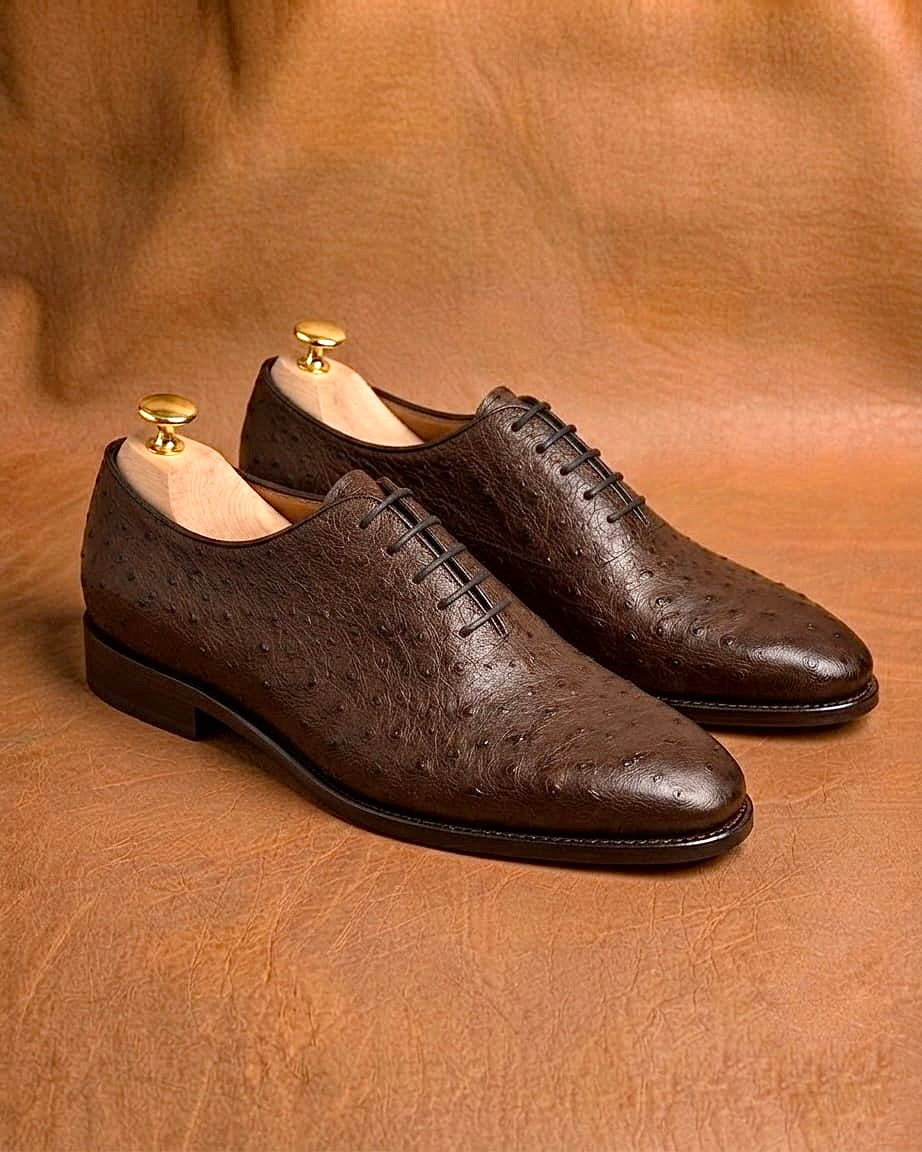 Quill pattern running unbroken across the vamp of a dark brown ostrich wholecut