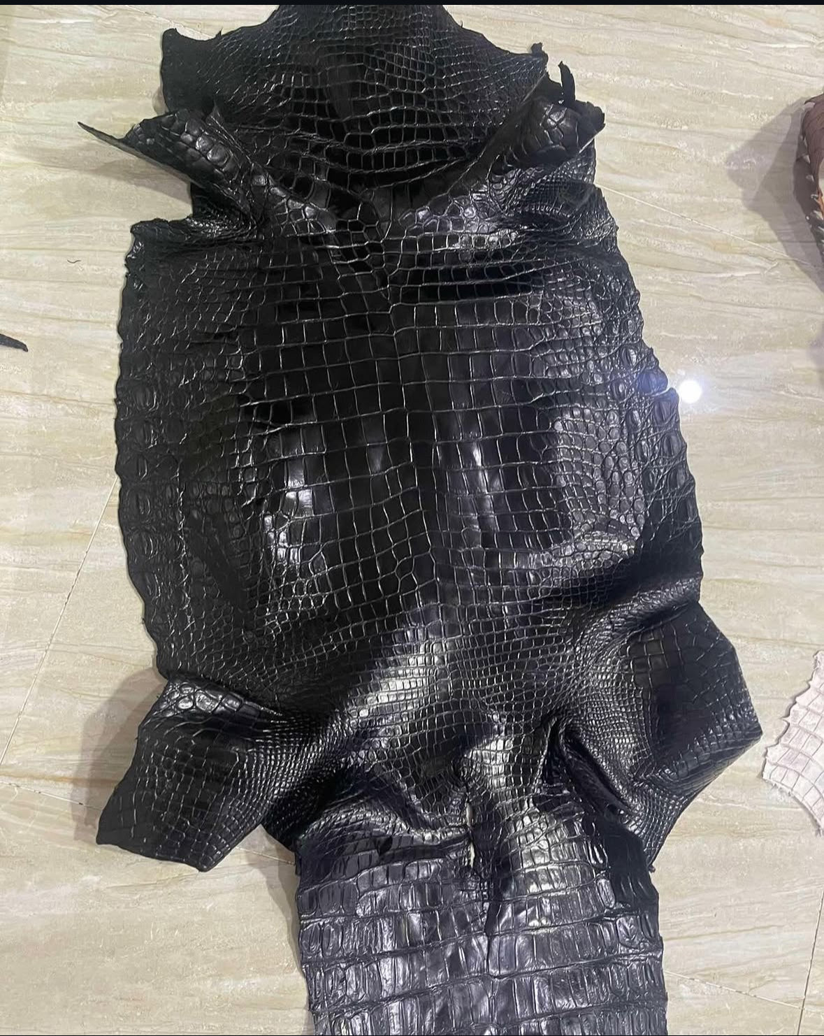 Crocodile skins