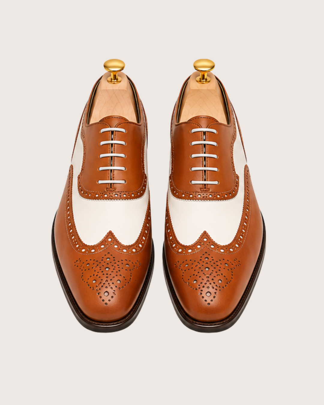 Tan & white spectator